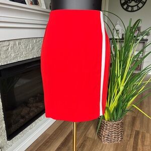 Banana Republic Skirt